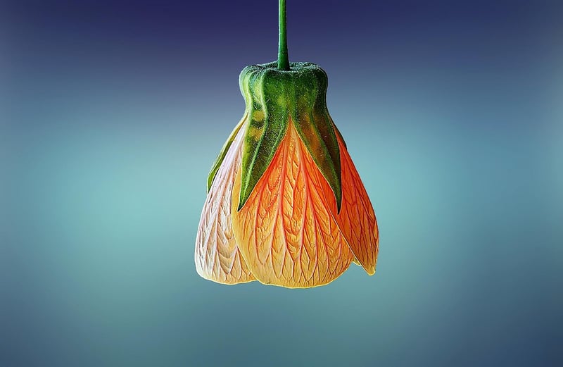 Hanging Floral Installations